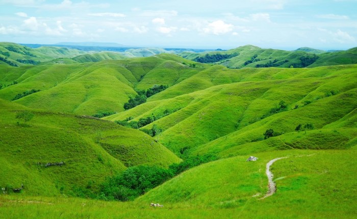 Sejarah dan legenda menarik apa yang ada di Bukit Hijau?
