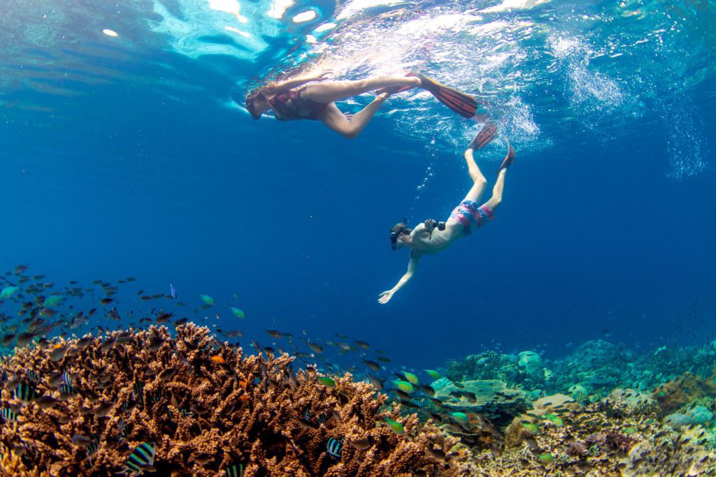 Paket liburan snorkeling di  Raja Ampat untuk 3 hari 2 malam