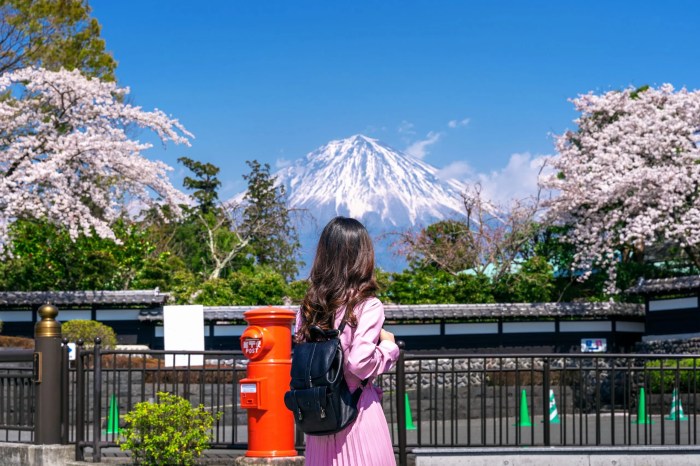 Pengalaman solo traveling wanita di jepang tanpa guide