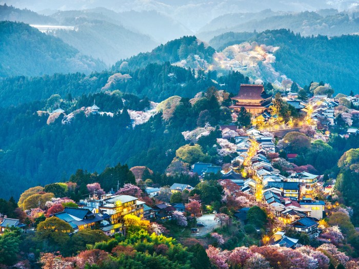 Rekomendasi distrik di Jepang untuk menikmati pemandangan alam yang indah