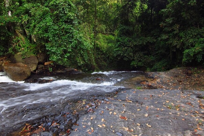 Bagaimana cara mencapai puncak Bukit Hijau dengan jalur terpendek?
