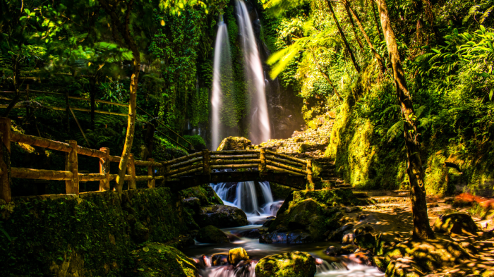 Petualangan solo ke puncak bukit hijau di Indonesia