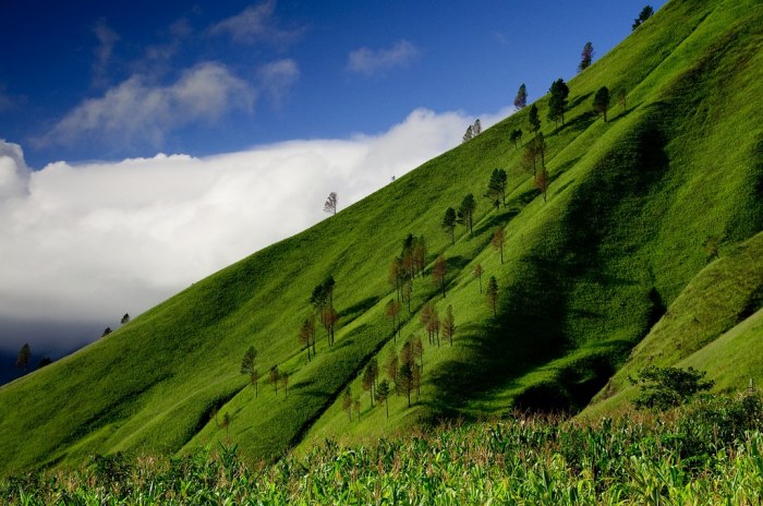 Bagaimana cara mencapai puncak Bukit Hijau dengan jalur terpendek?
