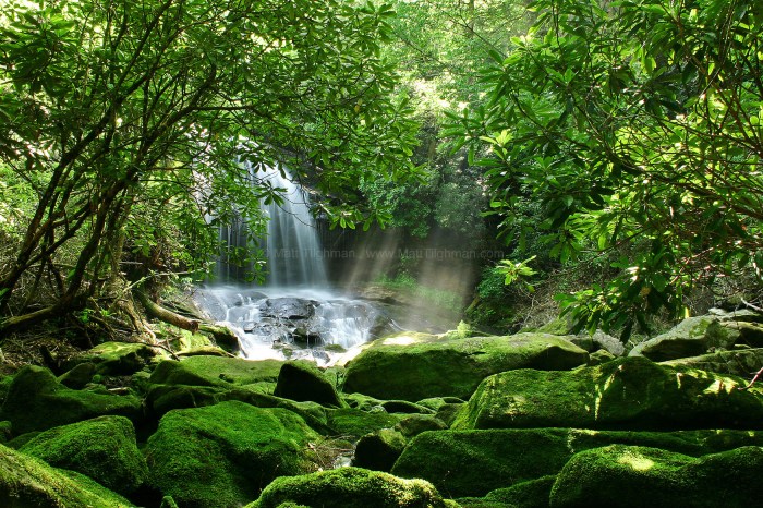 Rahasia air terjun tersembunyi yang menakjubkan