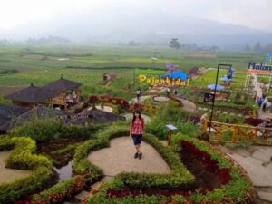 Tempat wisata edukasi kopi Malang untuk anak muda