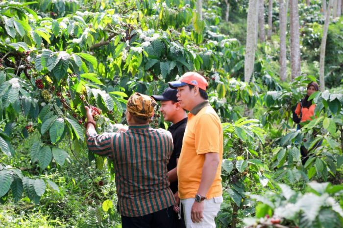 Pengalaman belajar membuat kopi dan batik di agro wisata Malang