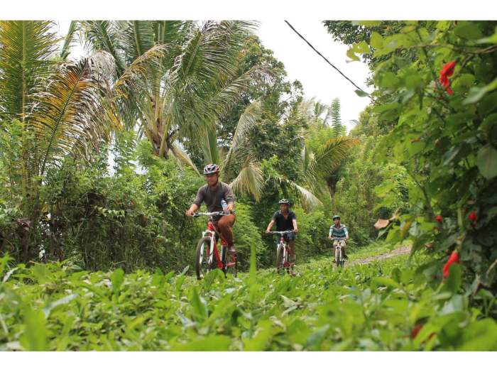 Air terjun tersembunyi yang bisa diakses dengan motor di Sumatera