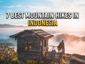 Daftar Gunung yang Mudah Didaki di Indonesia Petualangan Menaklukkan Puncak Tanpa Ribet