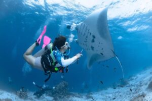 Pengalaman Diving dan Snorkeling di Labuan Bajo Menjelajahi Surga Bawah Laut