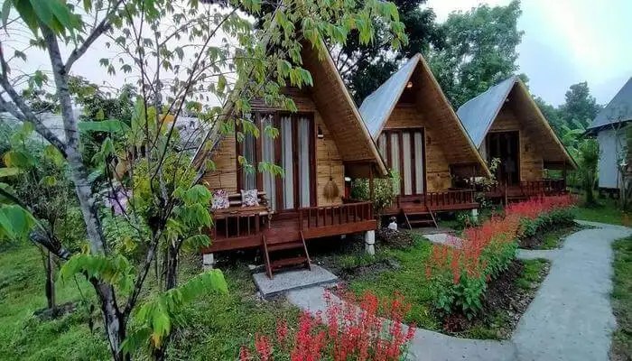 Menginap rumah penduduk lokal desa wisata fasilitas lengkap pengalaman unik