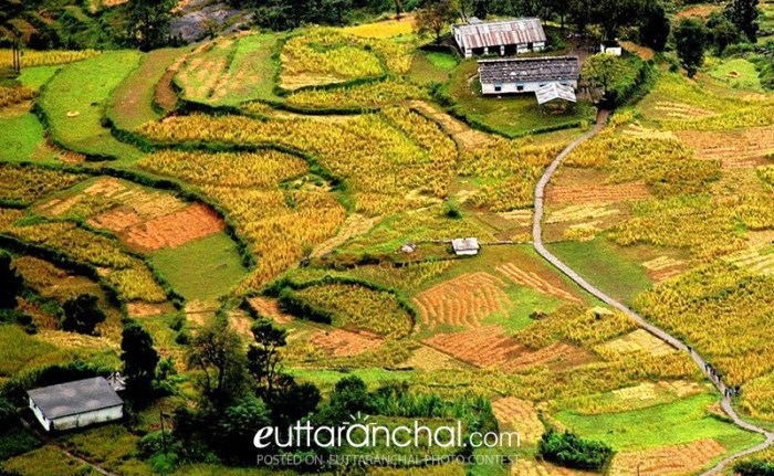 Pengalaman wisata desa yang menawarkan kegiatan budaya dan alam