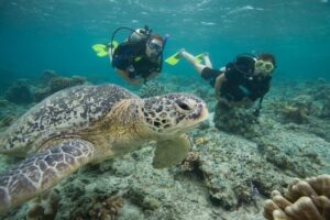 Jelajahi Spot Snorkeling dan Diving Terbaik di Lombok yang Masih Alami