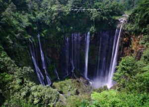 Air Terjun Tersembunyi di Jawa Timur Petualangan Menakjubkan yang Jarang Terjamah