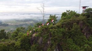 Apakah ada pemandu wisata lokal berpengalaman di Bukit Hijau?