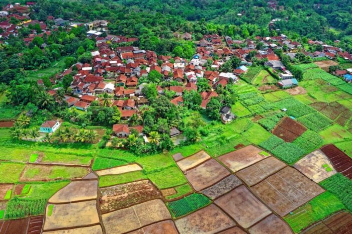 Paket wisata agro edukasi untuk anak sekolah di Lembang Bandung