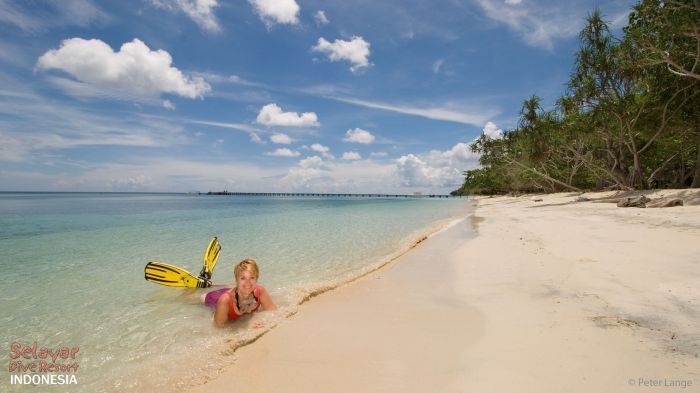 Beach indonesia sulawesi private resort dive selayar south diving videos click here our