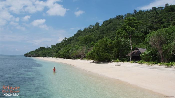 Sulawesi dive selayar sand