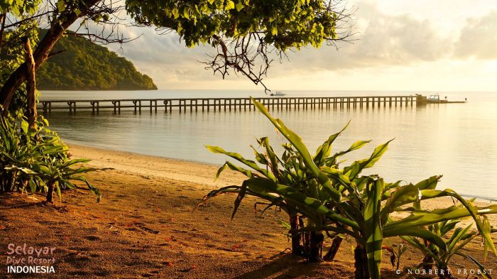 Indonesia beach selayar dive resort sulawesi white