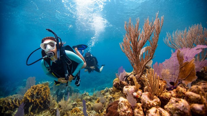 Pengalaman diving dan snorkeling di Labuan Bajo