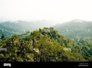 Menemukan Bukit Hijau Terpencil di Indonesia untuk Didaki