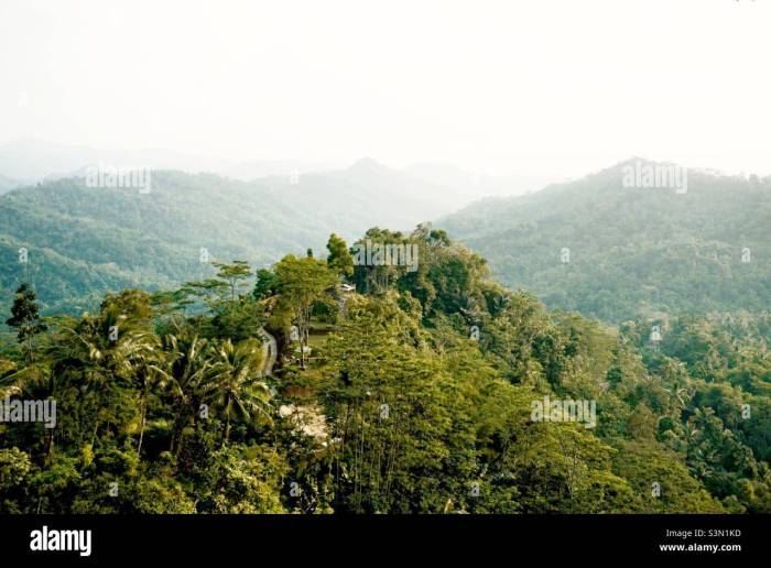 Menemukan bukit hijau terpencil di Indonesia untuk didaki