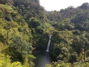 Menjelajahi Pesona Air Terjun Tersembunyi yang Unik