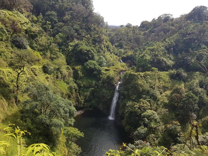 Hidden waterfall small hawaii maui oc earthporn