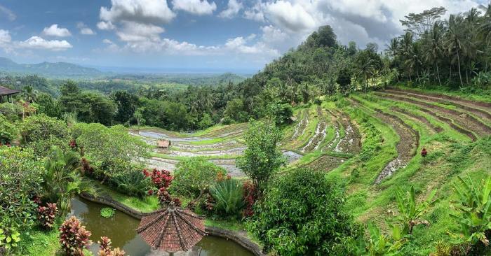 Perbandingan keindahan bukit di bali dan lombok