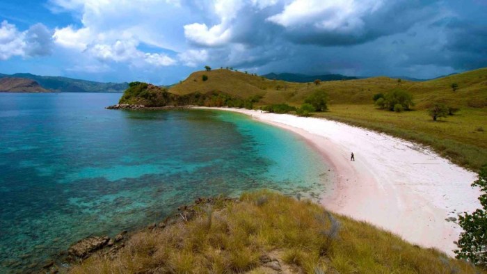 Tenggara nusa east beach pink indonesia beaches komodo koka beautiful tour dragon authentic credit ollami day