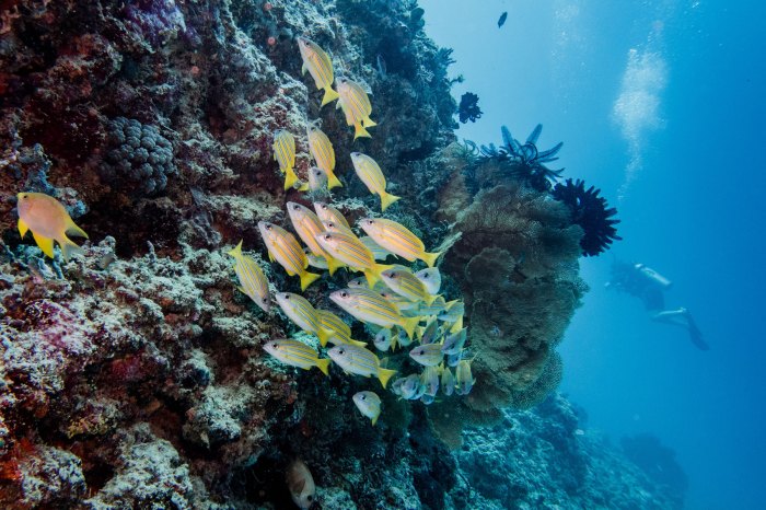 Lombok snorkeling gili voucher