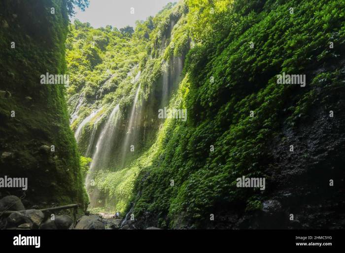 Air terjun tersembunyi yang memikat di Pulau Jawa