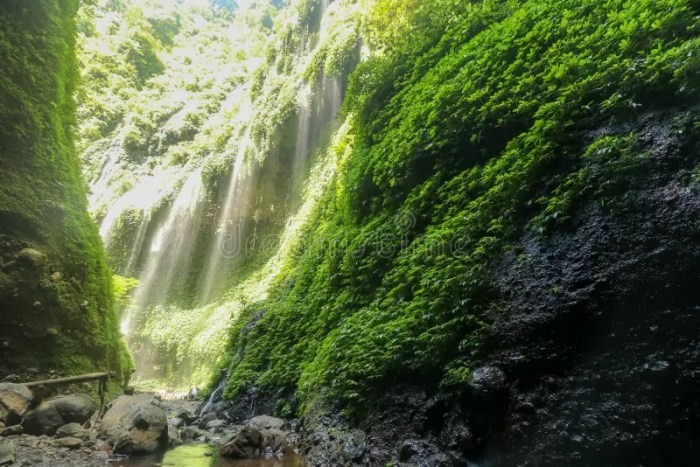 Java waterfalls indonesia east explore must travel themandagies article asia mandagies cascades photography