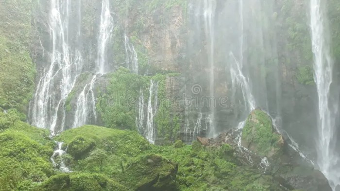 Hidden waterfall small hawaii maui oc earthporn