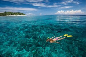 Pulau Kecil di Lombok Surga Bawah Laut yang Menakjubkan