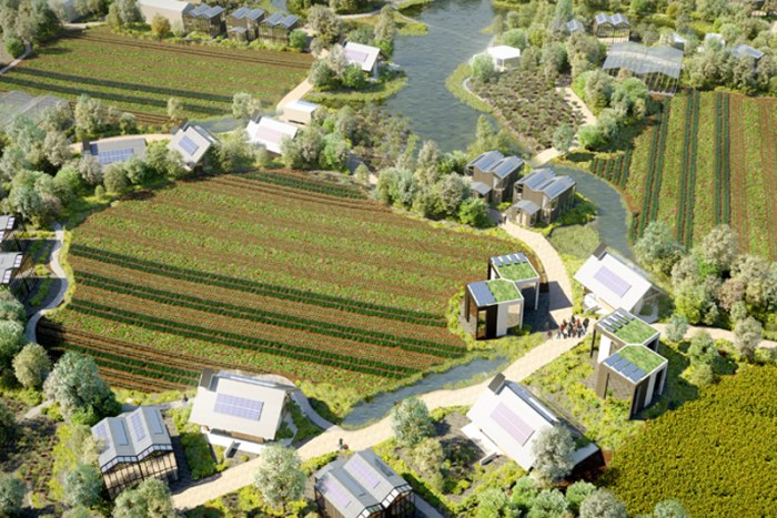 Eco village urban nature cities