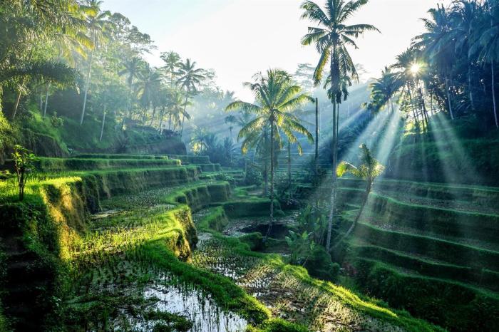 Perbandingan keindahan bukit di bali dan lombok