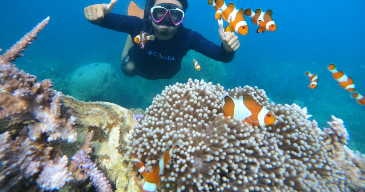 Karimunjawa snorkeling