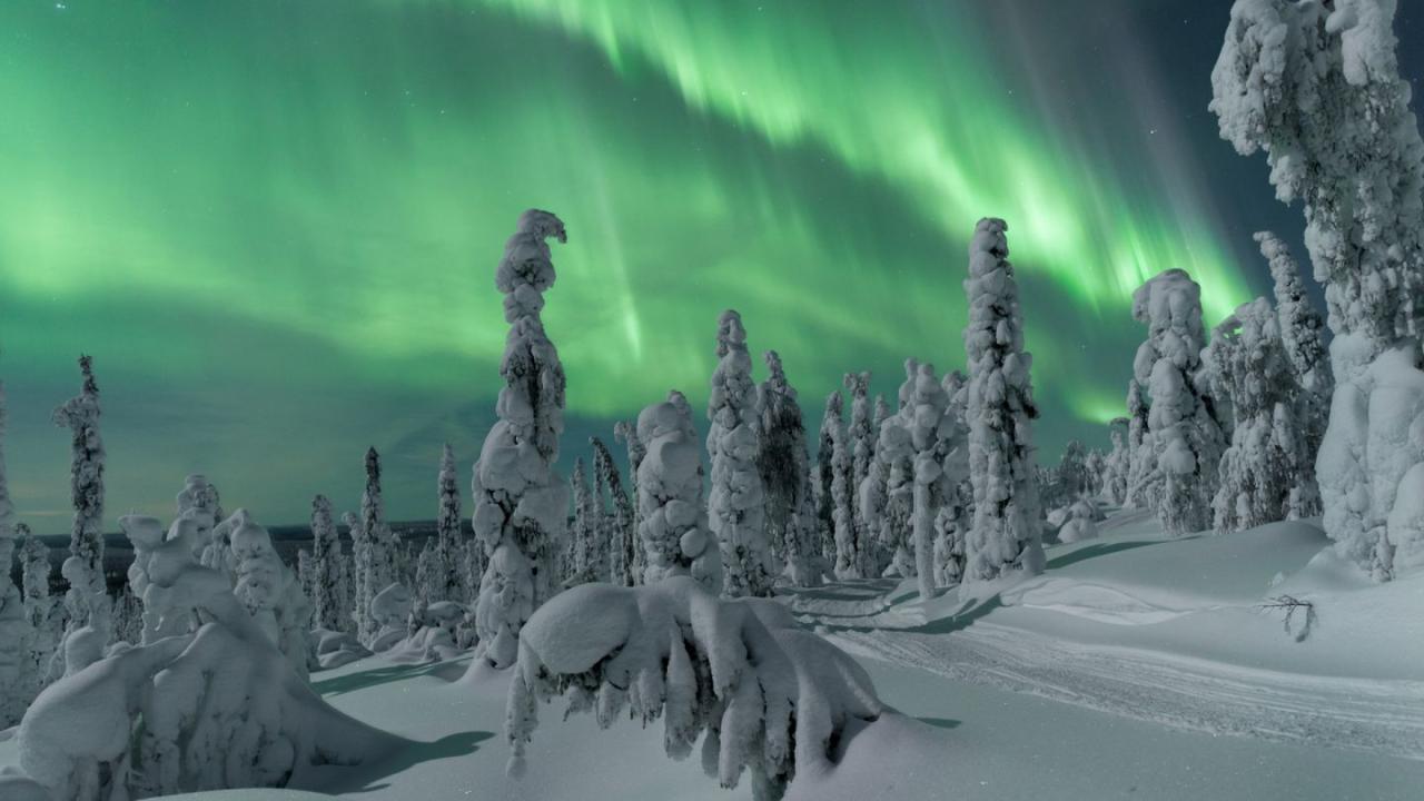 Pengalaman melihat aurora di Finlandia selama musim dingin ekstrem