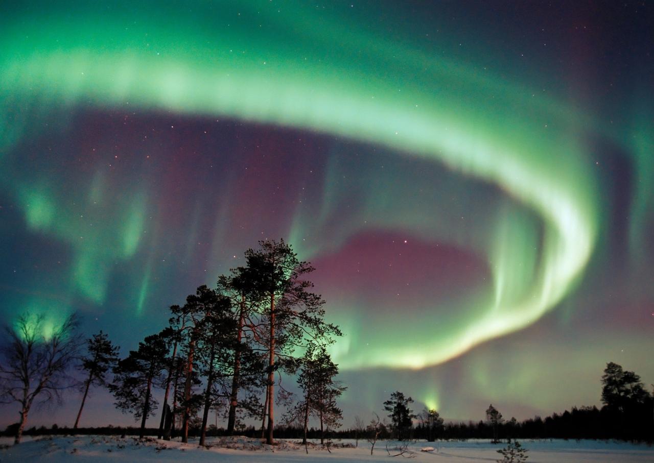Pengalaman melihat aurora di Finlandia selama musim dingin ekstrem