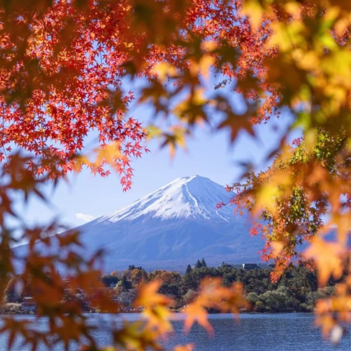 Destinasi wisata jepang yang ramah budget untuk solo traveler