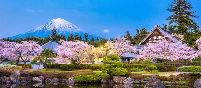 Rekomendasi distrik Jepang yang cocok untuk liburan musim semi