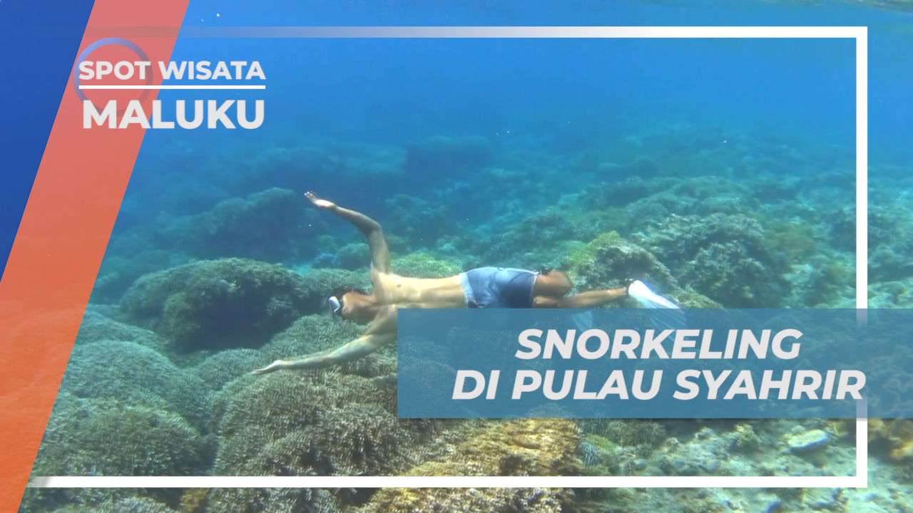 Cari paket snorkeling di  Maluku Utara yang hemat