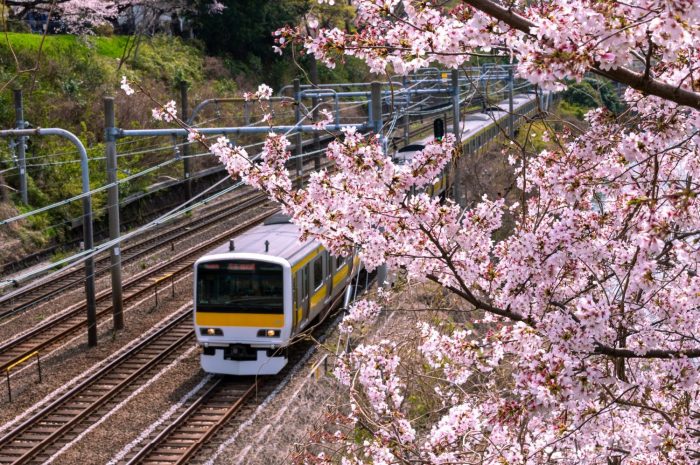 Memilih transportasi umum yang efisien di Jepang selama liburan