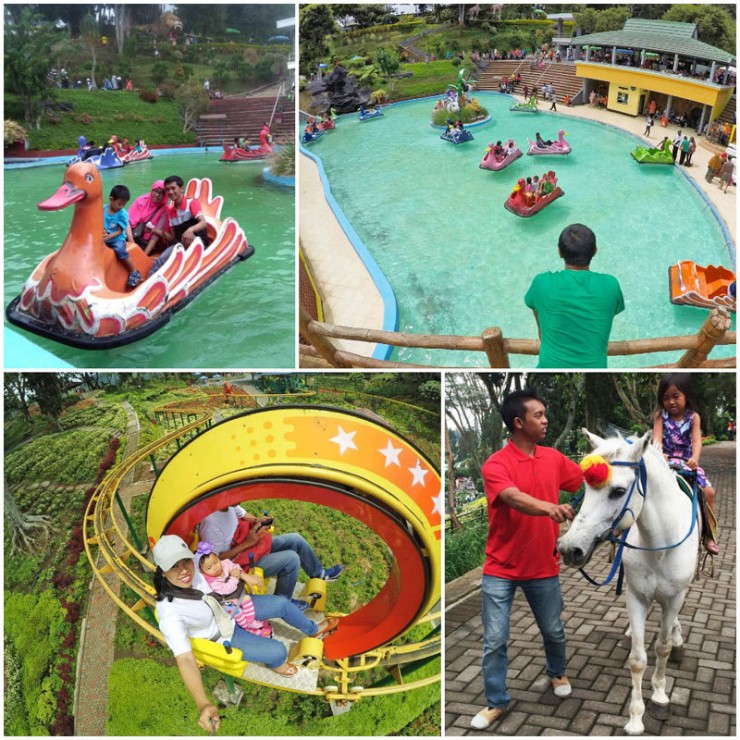 Malang cha entertain kids tripcanvas selecta