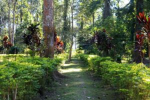 Wisata Kebun Raya  Fasilitas Bermain Anak Lengkap dan Aman