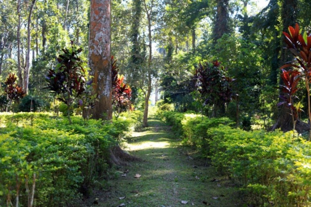 Wisata kebun raya dengan fasilitas bermain anak yang lengkap dan aman