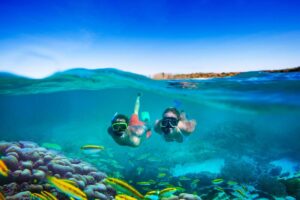 Tips Fotografi Underwater Saat Snorkeling