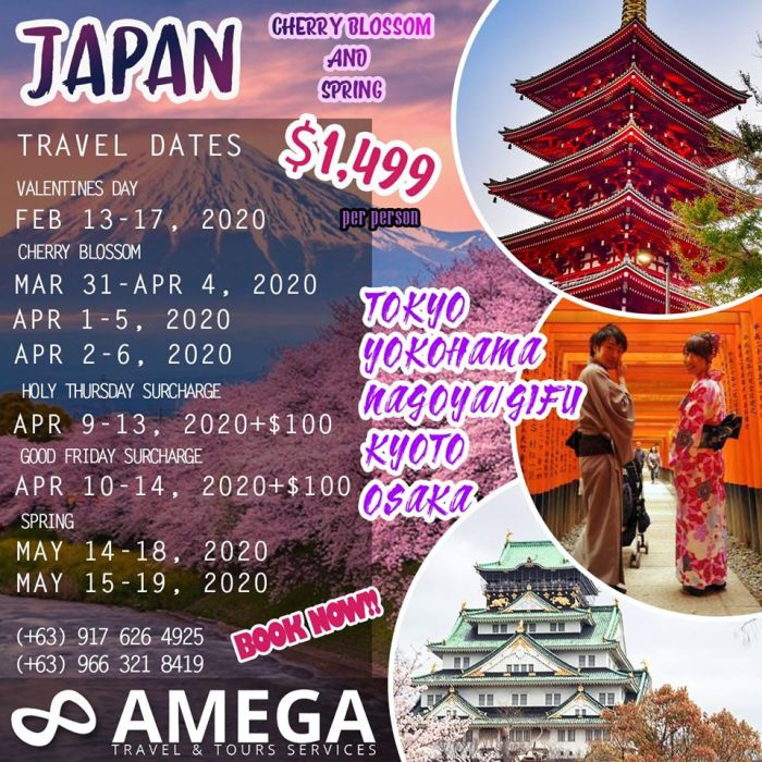 Japan holidays holiday packages japanese deals package