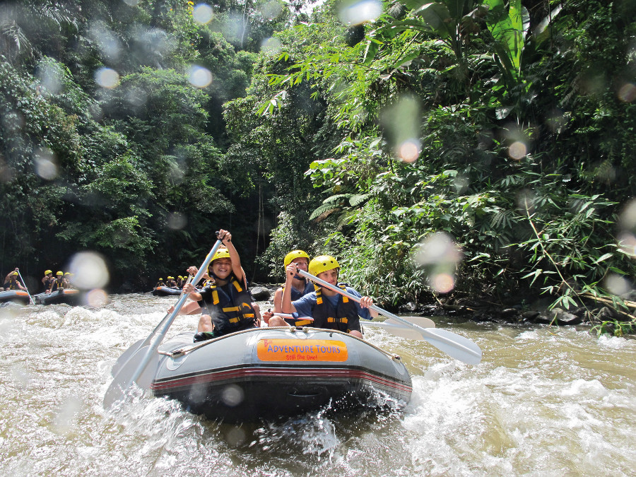 Bali kids safari marine park activities children families parks their love programmes commitments having seen animal