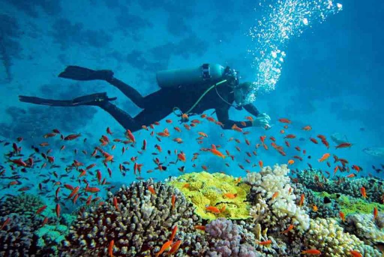 Paket snorkeling terbaik di Derawan dengan harga terjangkau